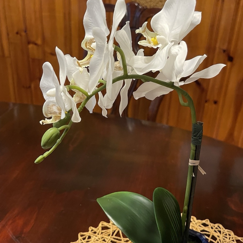 Faux White Phalaenopsis Orchid Silk Plant Blue ,Real Touch - Picture 6 of 8